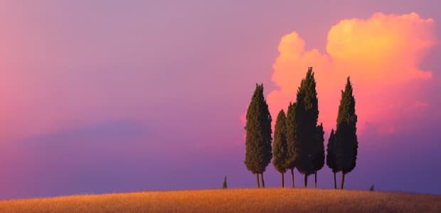 Mozartland · Nits Culturals