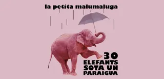 30 elefants sota un paraigua