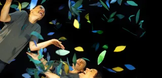 Sotabosc – Festival ElPetit