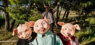 Pigs – Festa Major d’Alpicat