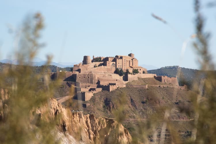 Castell de Cardona